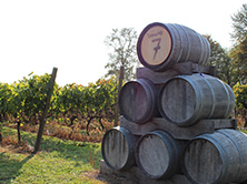 township 7 full day vancouver wine tour